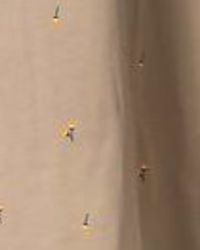 قهوه ای روشن